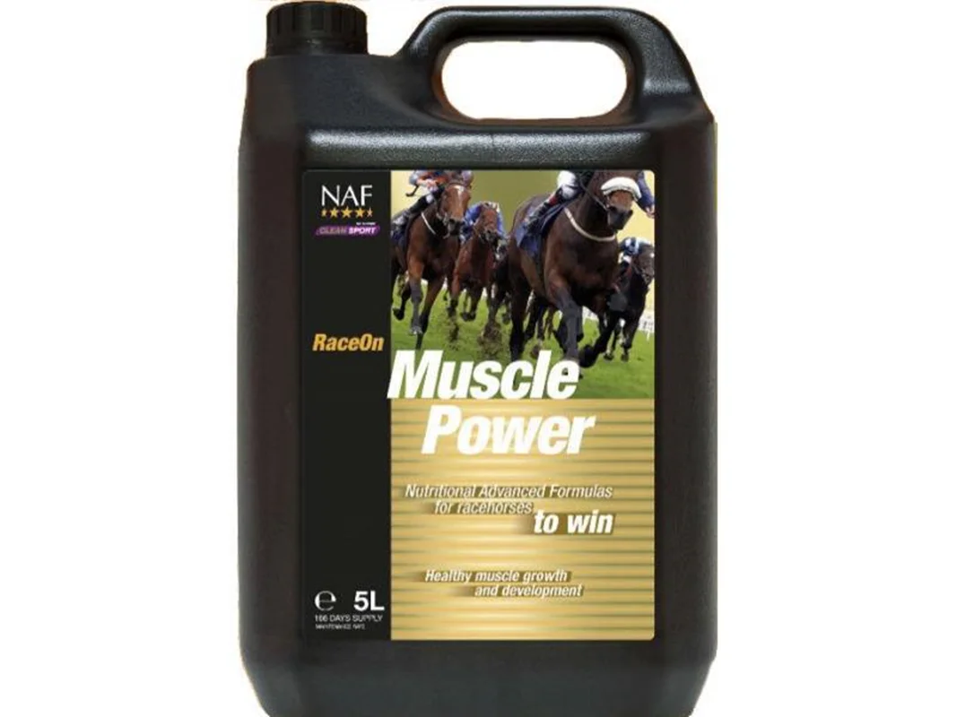 Muscle Power-  قدرت عضلات - ترکیب آمینواسید  بهبود عملکرد عضلات در اسب‌های مسابقه NAF